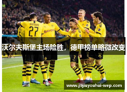 沃尔夫斯堡主场险胜，德甲榜单略微改变
